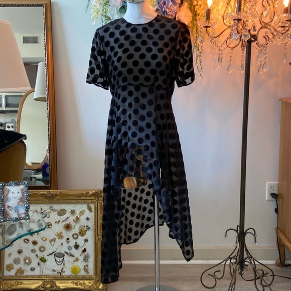 ZARA BLACK SHEER VELVET POLKA DOT SHORT SLEEVE HI LO DRESS MEDIUM NEW - Picture 2 of 6